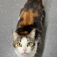 Photo of Cindy