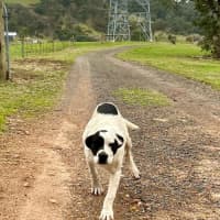 Photo of Ramona