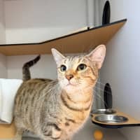 Photo of Spice
