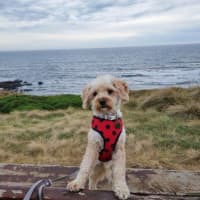 Photo of Anson Lozano