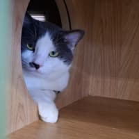 Photo of Hercules
