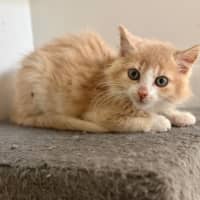 Photo of Jasper