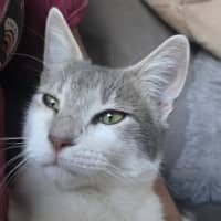 Photo of Rocket