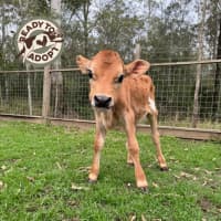 Photo of Bowen & Albert