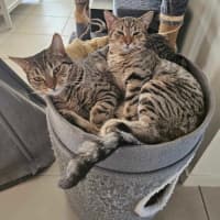 Photo of Mia And Frankie 