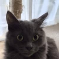 Photo of Luna