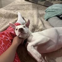 Photo of Max