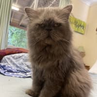 Photo of George