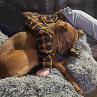Photo of Zoe