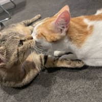 Photo of Atun And Arenita 
