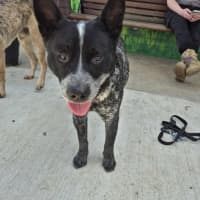 Photo of Snowy! ❄️