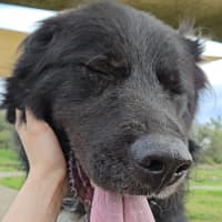 Photo of Lenny