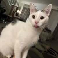 Photo of Wilson 🤍