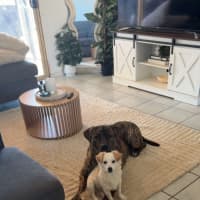 Photo of Whisky