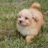 Photo of Matilda