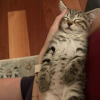 Photo of Twix 