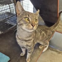 Photo of Draco! 🎩