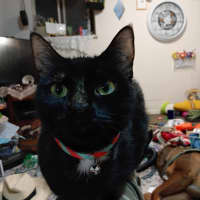 Photo of Effy