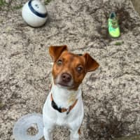 Photo of Simon