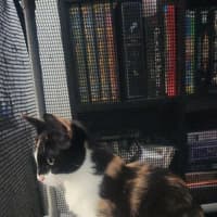 Photo of Nova
