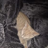 Photo of Sandy