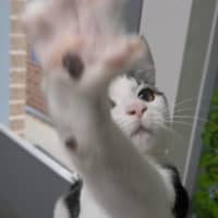 Photo of 🐒 Terrence 7015 🐒 