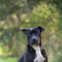 Photo of Roxy