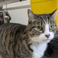 Photo of 💎 Princess 6520 💎