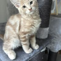 Photo of Passionfruit 