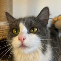 Photo of ꨄ︎ Meredith ꨄ︎