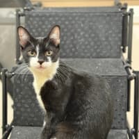Photo of Tom