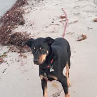 Photo of Leroy