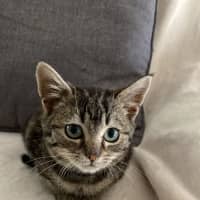 Photo of Harley 