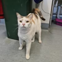 Photo of Mildred