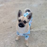 Photo of Bug 