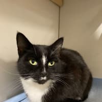 Photo of Polly