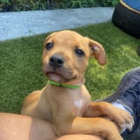 Photo of D1197 William