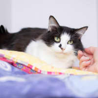 Photo of Matilda