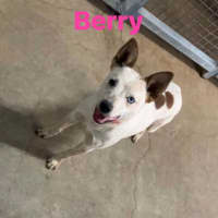 Photo of Brandy & Berry