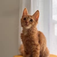 Photo of Zeus
