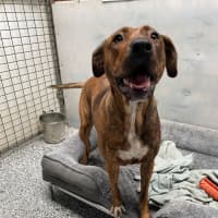 Photo of Winnie