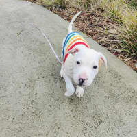 Photo of 🍦 Froyo 6378 🍦 