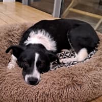 Photo of Winnie