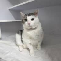 Photo of Tia