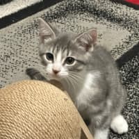 Photo of Bella 🌼🌻