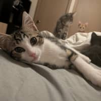 Photo of Mort