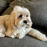 Photo of Amy