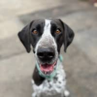 Photo of Lucy