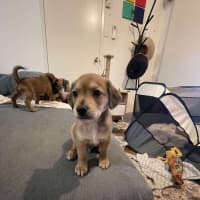 Photo of Maverick
