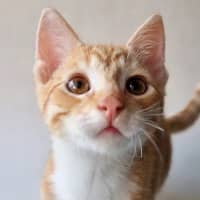 Photo of Maverick 